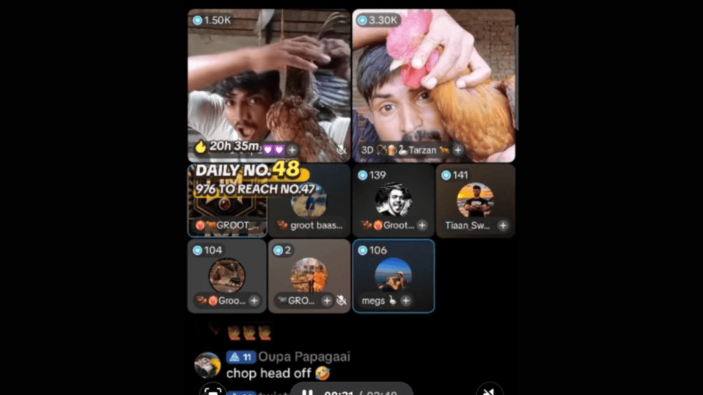直播期間,多名主播在螢幕前展示並虐待多種動物,包括母牛、鴨子、雞、兔子及驢子。 直播期間,多名主播在螢幕前展示並虐待多種動物,包括母牛、鴨子、雞、兔子及驢子。