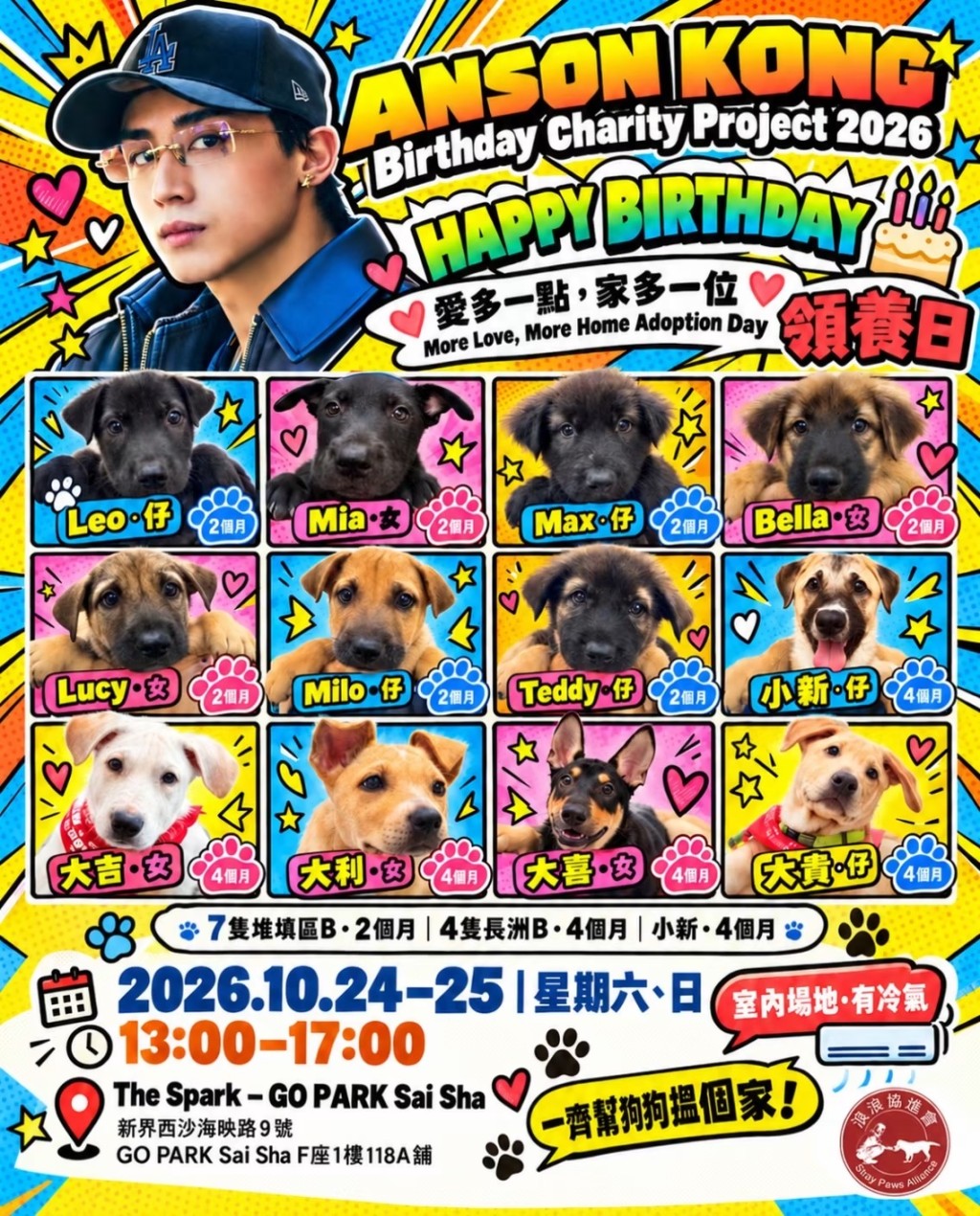 12狗B等領養。