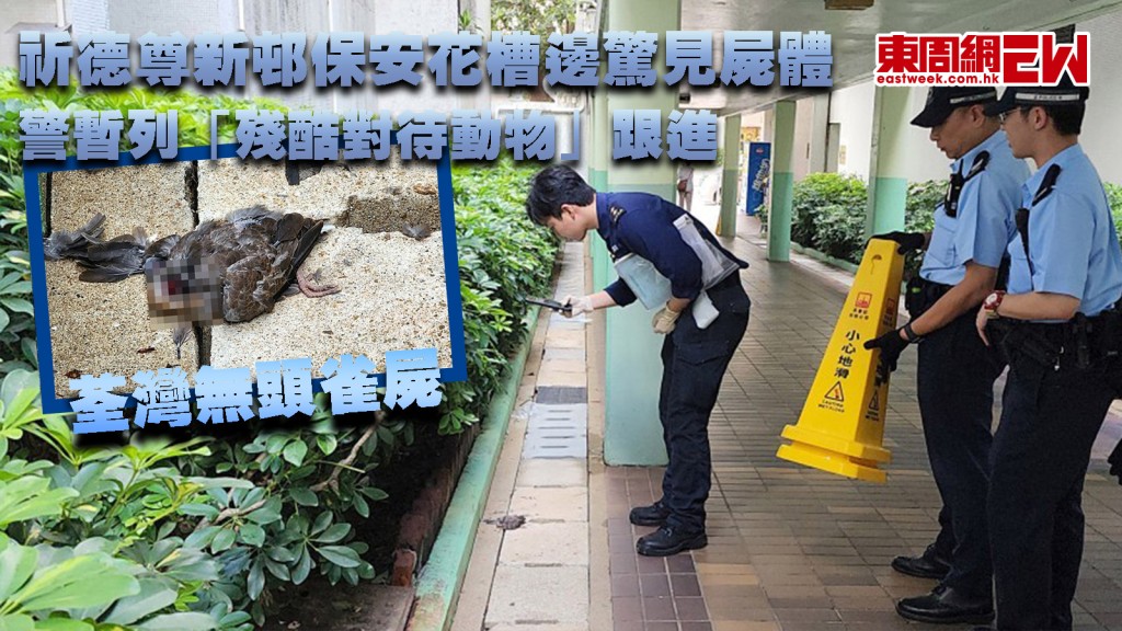 荃灣無頭雀屍|祈德尊新邨保安花槽邊驚見屍體 警暫列「殘酷對待動物」跟進