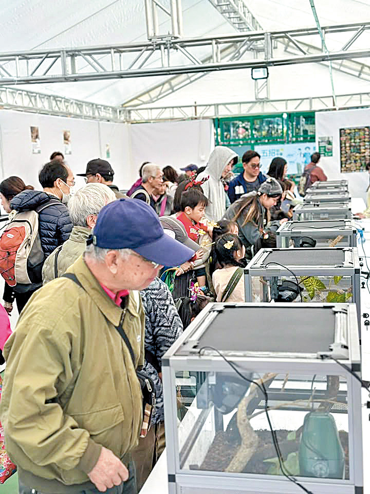 北區花鳥蟲魚展每年十二月在粉嶺遊樂場舉行,吸引不少市民及遊客到場參觀。 北區花鳥蟲魚展每年十二月在粉嶺遊樂場舉行,吸引不少市民及遊客到場參觀。