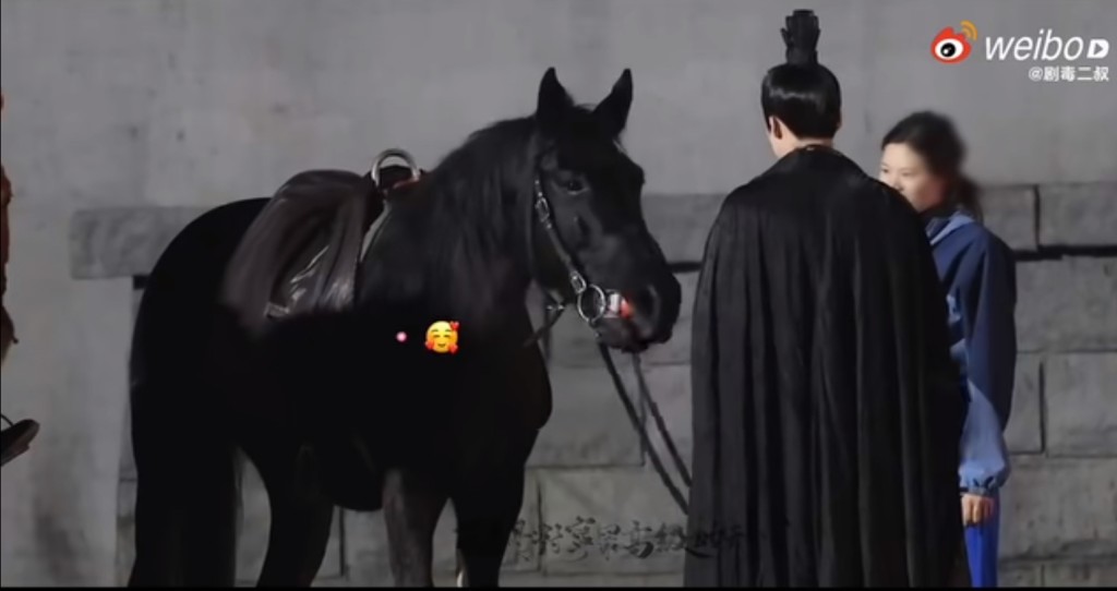 據說123只買劉宇寧的賬，搭擋其他演員會怠工。