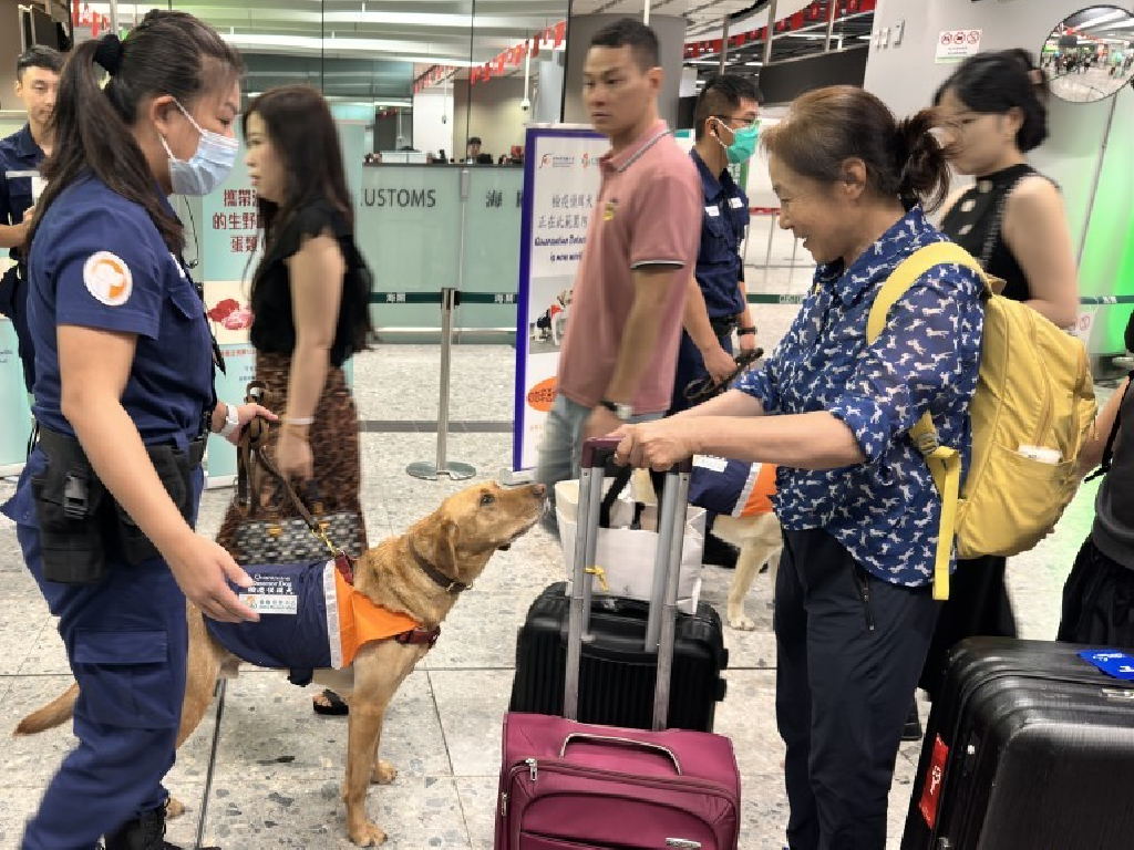 海關在口岸進行堵截。