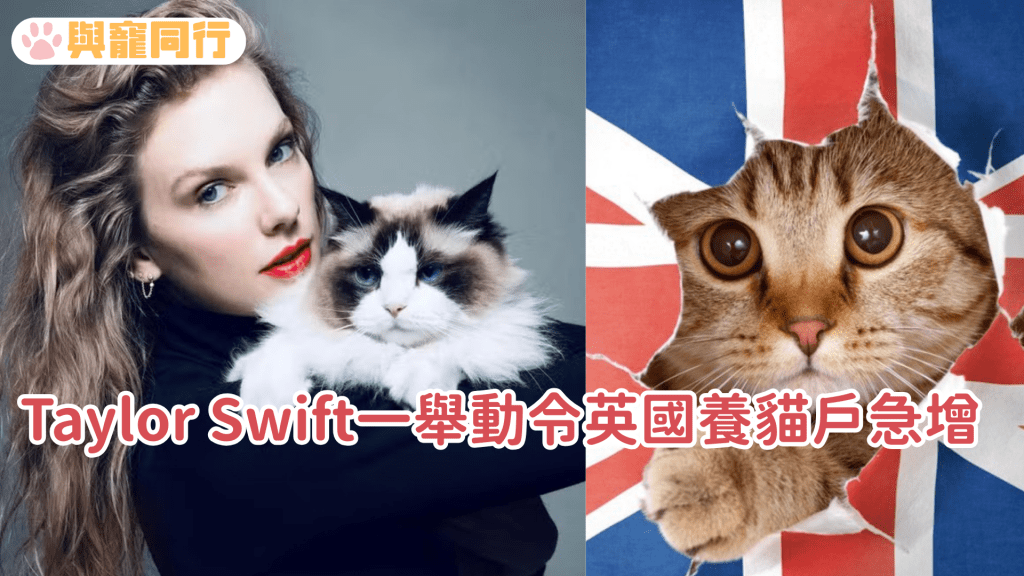 Taylor Swift令英國養貓戶激增 一個原因令Z世代不願成為狗奴 