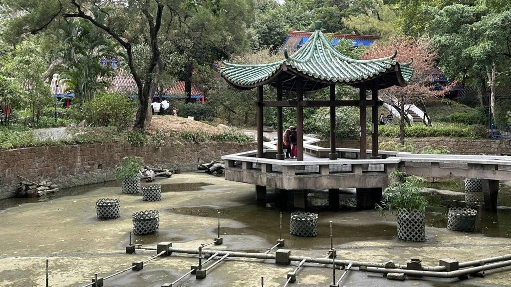 現場是九龍公園內中國花園的人工湖及水池 現場是九龍公園內中國花園的人工湖及水池