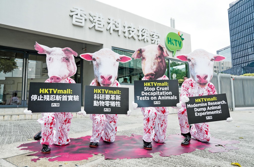香港科技探索大搞動物頭身分離生物科技實驗，遭動物組織穿血衣抗議。