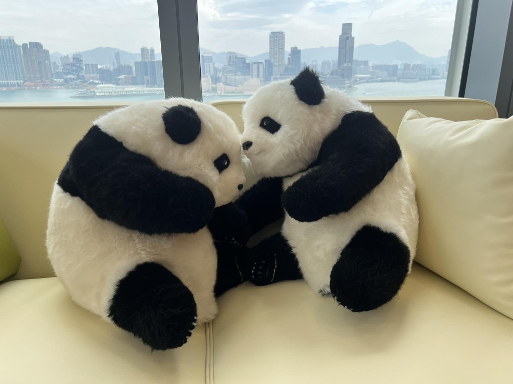 羅淑佩辦公室中一對小熊貓竊竊私語。羅淑佩fb 羅淑佩辦公室中一對小熊貓竊竊私語。羅淑佩fb