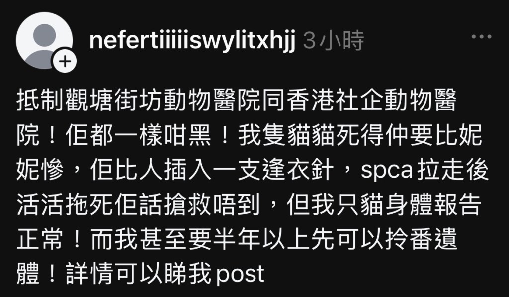 有網民在threads上發文指貓貓是獸醫診所受害貓。