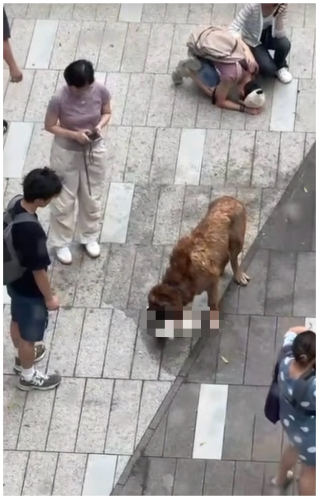 居民拍攝到事發情況。