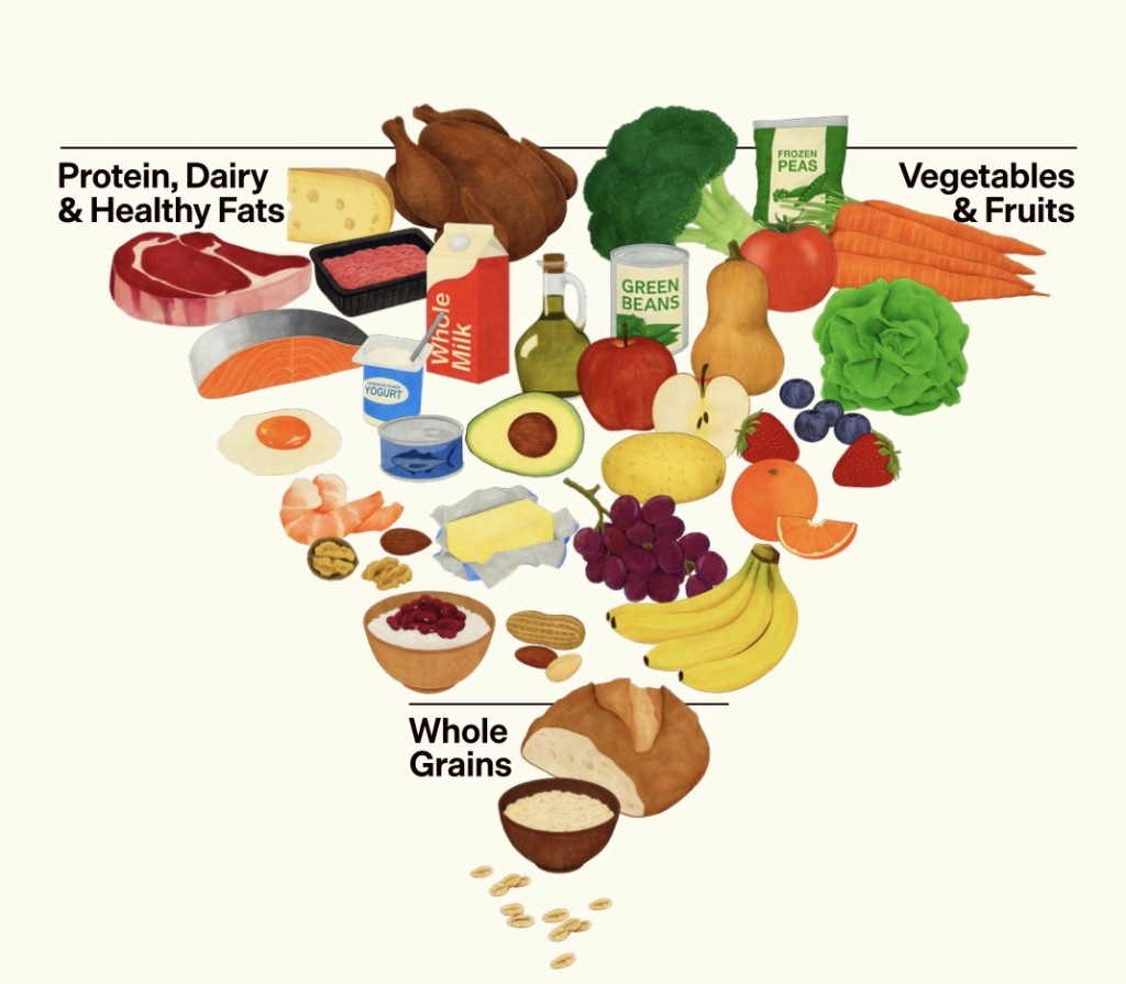 新食物金字塔以進食原型食物為主。