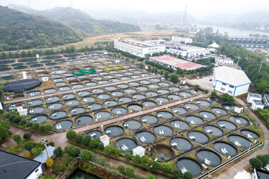 位於浙江省衢州市的鱘龍科技鱘魚養殖基地，是目前世界最大的鱘魚養殖和魚子醬生產基地。