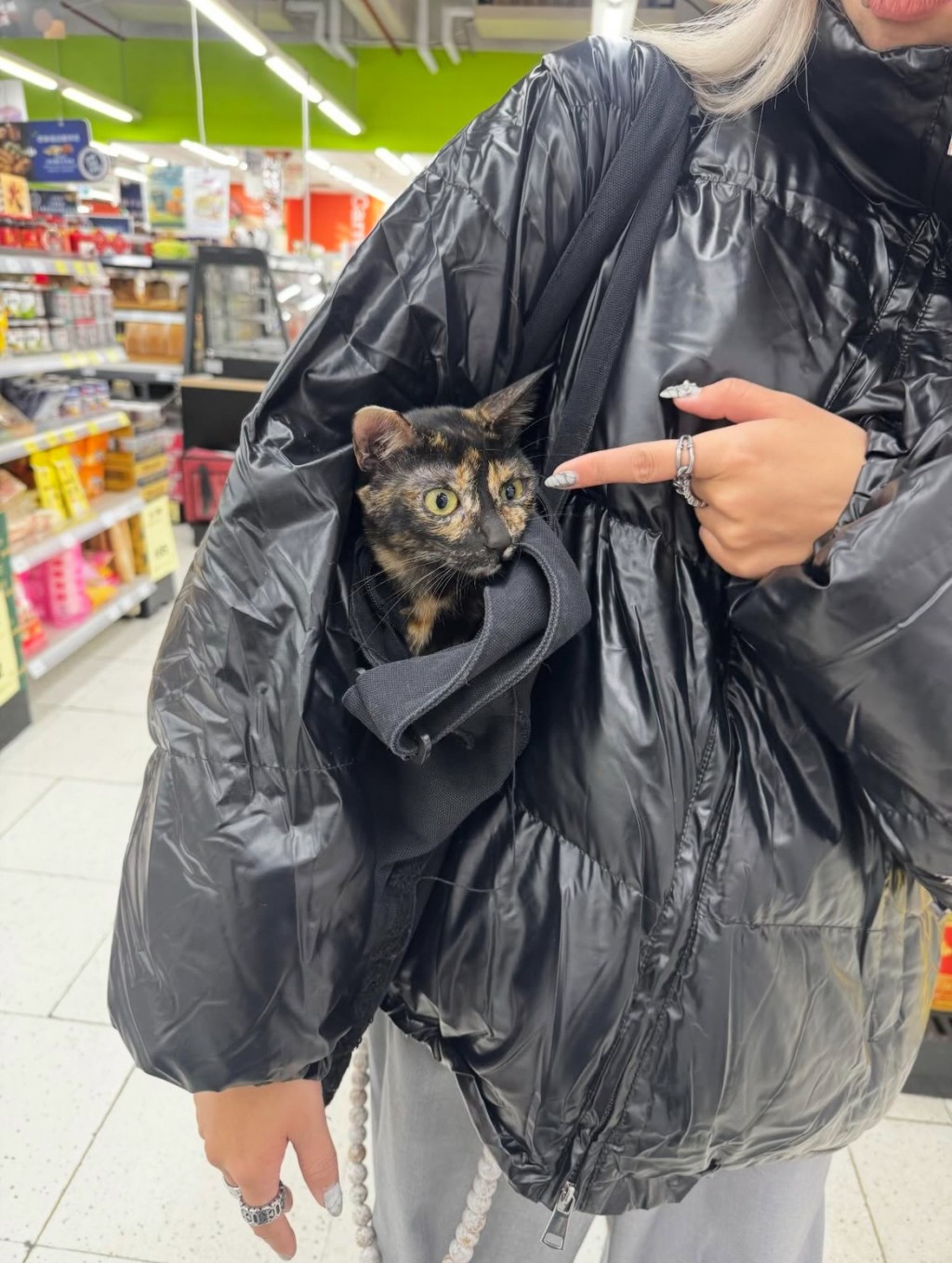 貓住指貓頑皮要探頭出來,事實她妄顧貓安全! 貓住指貓頑皮要探頭出來,事實她妄顧貓安全!