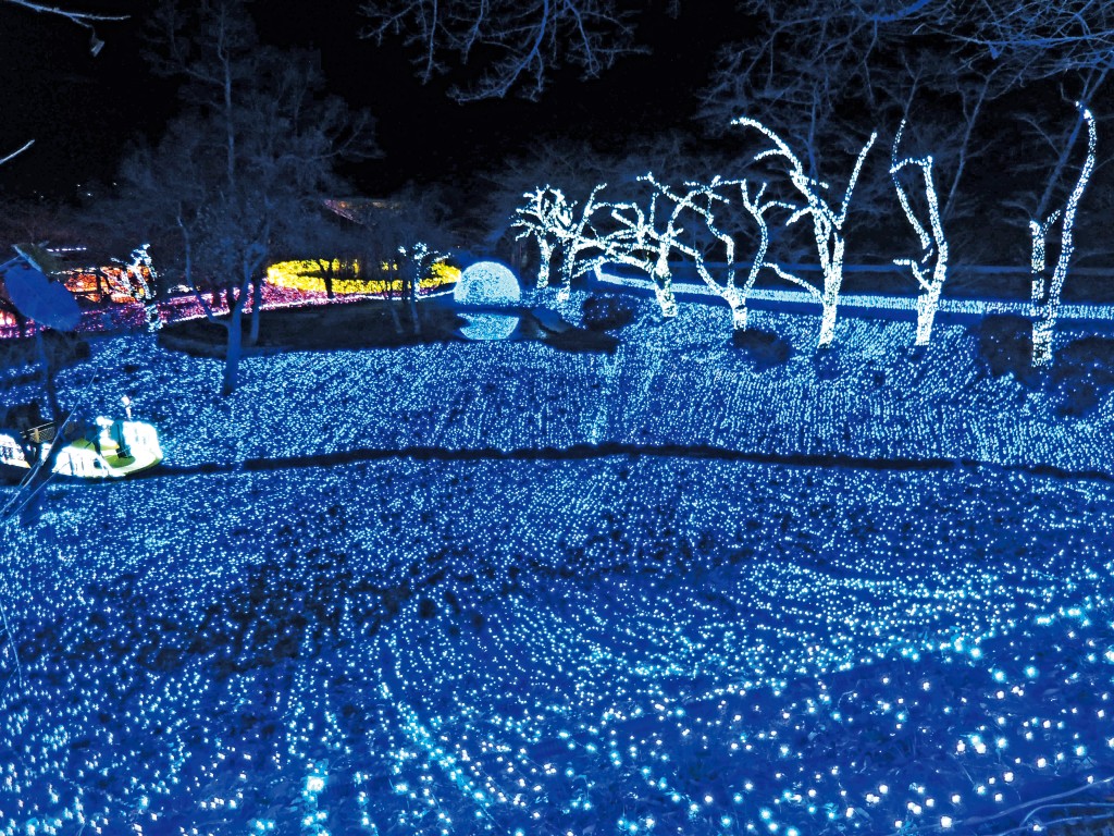 亮麗的「光之海」,設有地球交響樂拍照場景。 亮麗的「光之海」,設有地球交響樂拍照場景。