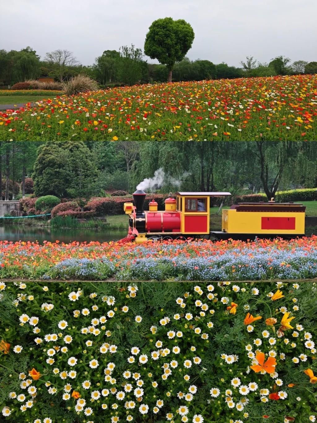 「復古蒸汽小火車」（圖源：小紅書）