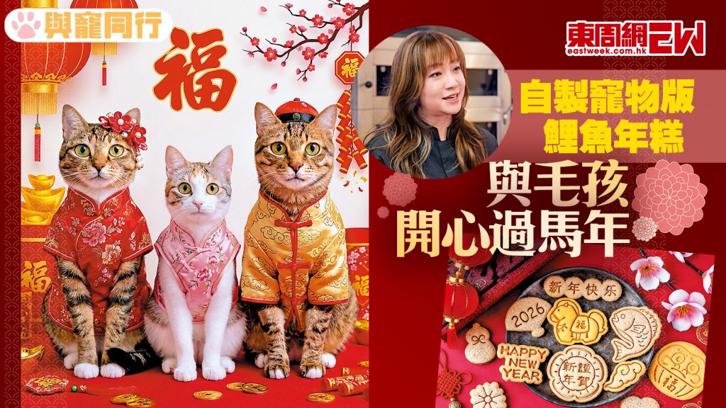 自製寵物版鯉魚年糕 與毛孩開心過馬年