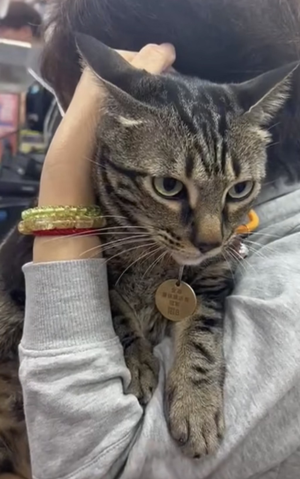 阻B今日中午前已回到藥房，老闆娘抱緊阻B。