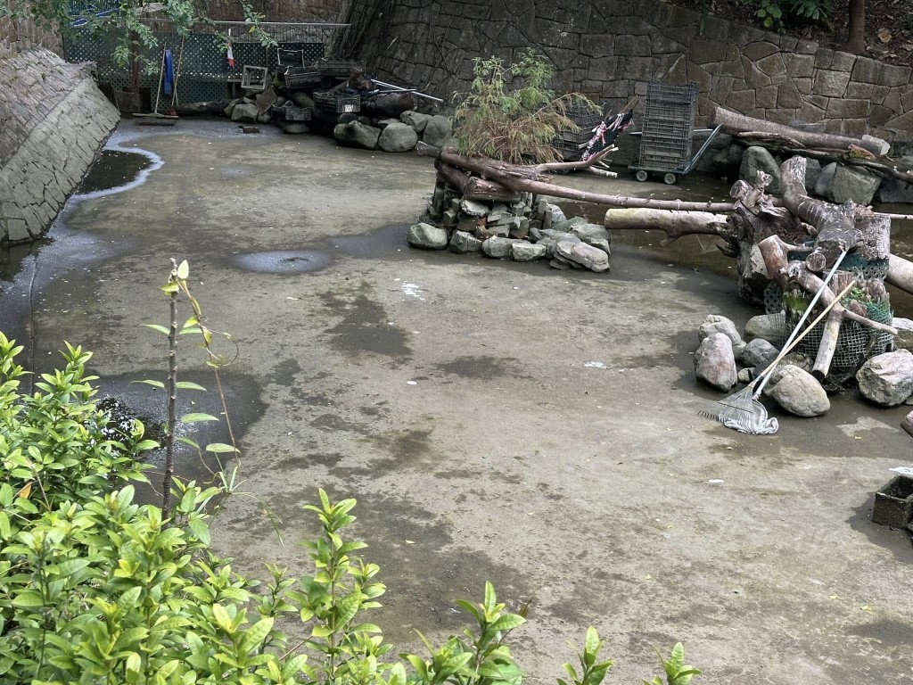 池水被抽乾 池水被抽乾