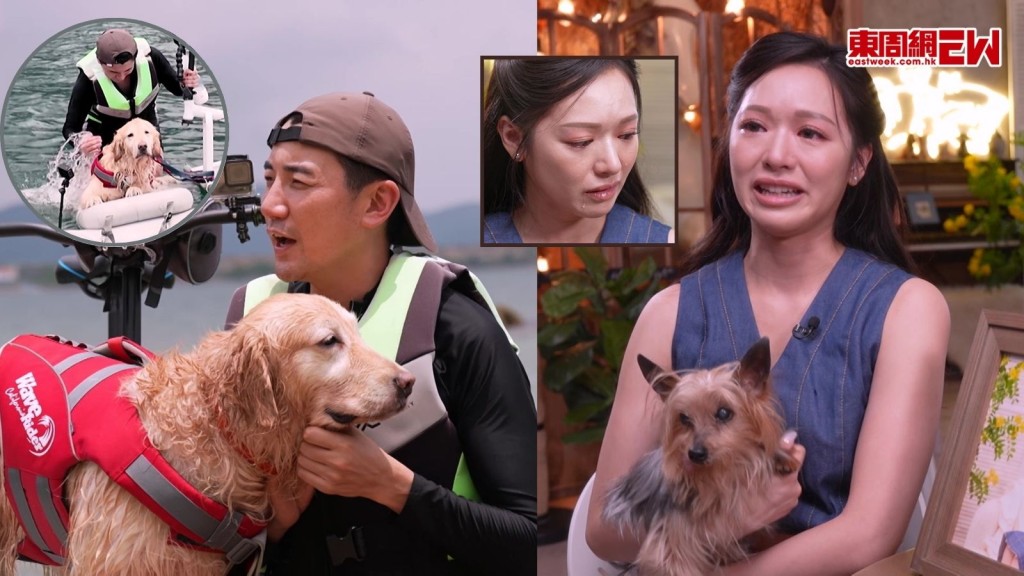 寵你一世︱ 洪永城分享愛犬有趣轉折「尋親記」 馮盈盈喊爆指未為離世狗狗做一件事感遺憾