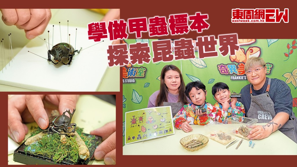 學做甲蟲標本 探索昆蟲世界｜資優教室