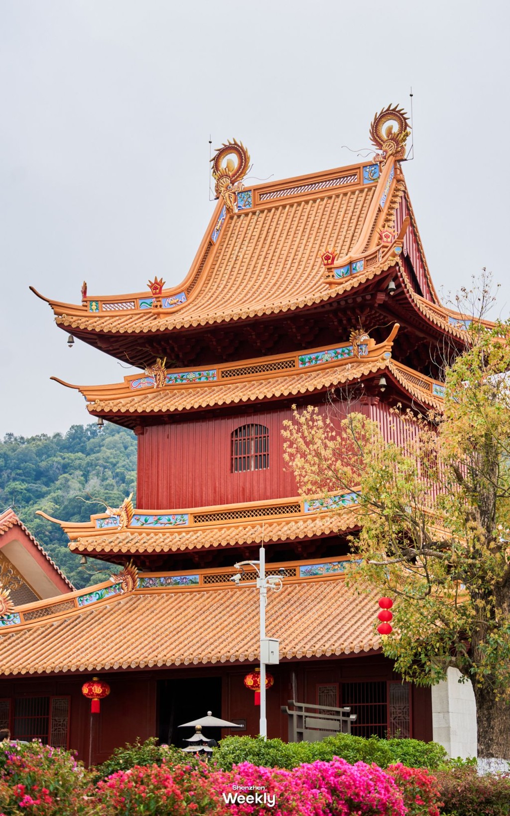 鳳岩古廟(圖源:ShenzhenWeekly) 鳳岩古廟(圖源:ShenzhenWeekly)