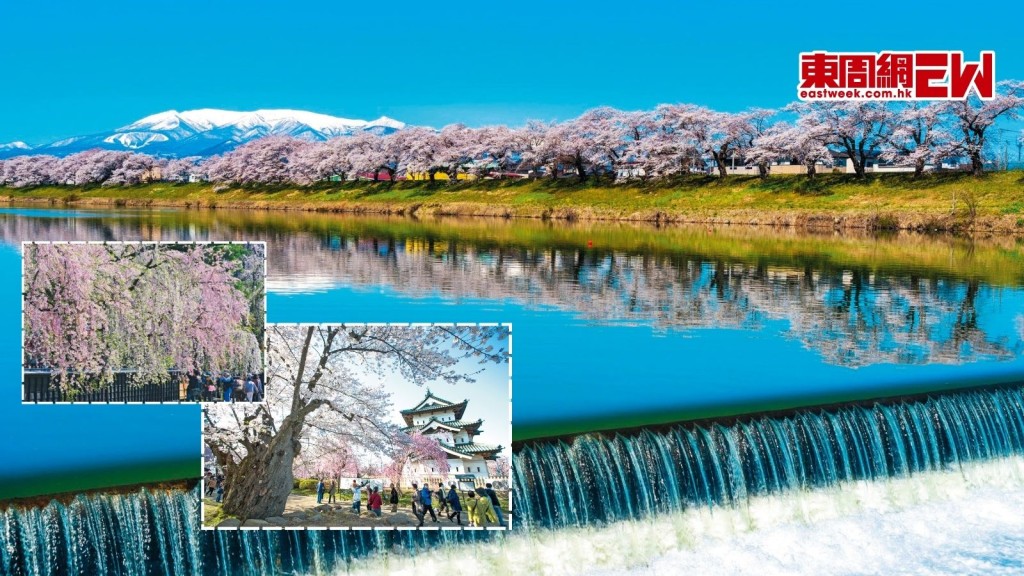 賞櫻︱日本本州東北區  盡現4大櫻色美景