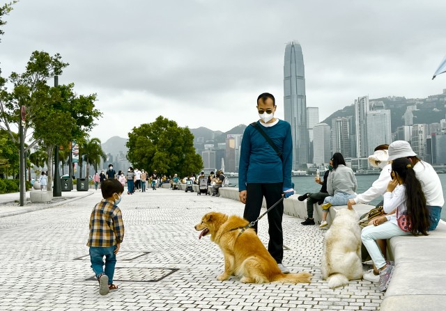 港人養寵物越來越普遍。 港人養寵物越來越普遍。