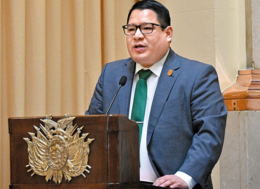 馬里亞卡是玻利維亞全國總檢察長，司法部指駡警方的拘捕行動是綁架。