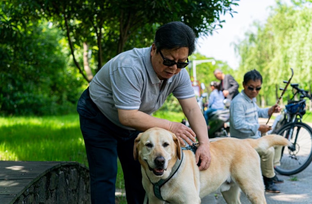 導盲犬職責是輔助失明人士日常生活。 導盲犬職責是輔助失明人士日常生活。