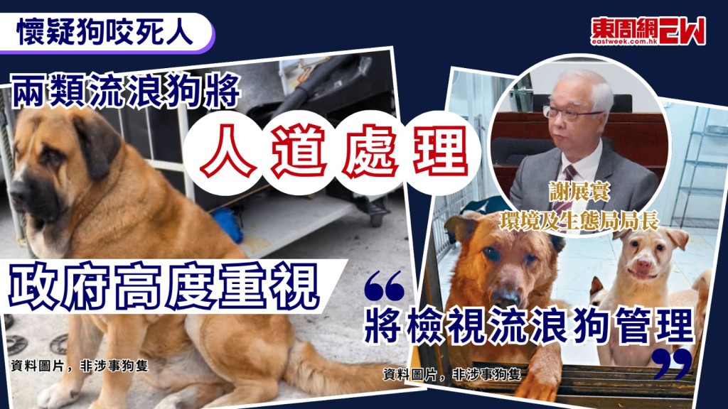 元朗周日（20日）凌晨發生懷疑狗隻襲擊人致死事件，一名27歲女子凌晨踩單車返家期間，疑遭多隻狗隻追逐，其後倒臥單車旁，送院搶救後不治，今次是繼8月20日打鼓嶺寵物酒店33歲女負責人被咬死後一個月，再有市民被狗隻襲擊後身亡。
