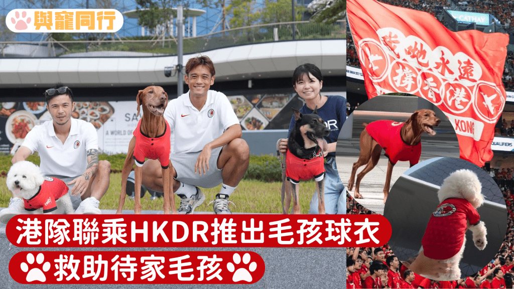 港隊聯乘HKDR推出毛孩球衣救助待家毛孩 港將愛犬親身示範
