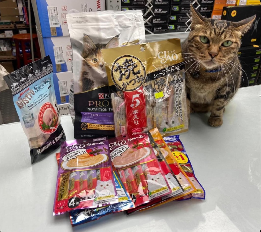 結果店員將$200零食錢給貓貓買了很多零食! 結果店員將$200零食錢給貓貓買了很多零食!