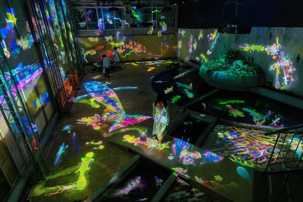 富有教育意義的《Graffiti Nature-Living in the Ruins of a Bathhouse》。 富有教育意義的《Graffiti Nature-Living in the Ruins of a Bathhouse》。