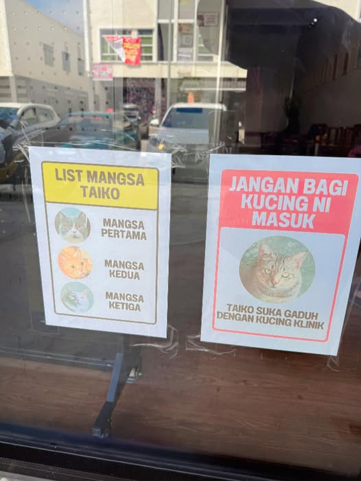 獸醫診所門口貼告示嚴禁惡霸貓入內，旁邊更附上一張名為受害者名單。