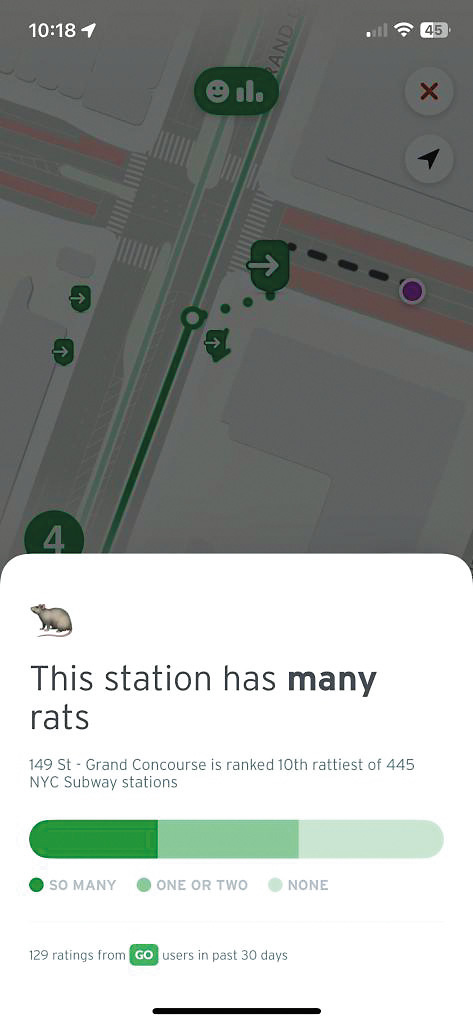 老鼠在紐約地鐵出沒已是見慣不怪的事情。 老鼠在紐約地鐵出沒已是見慣不怪的事情。