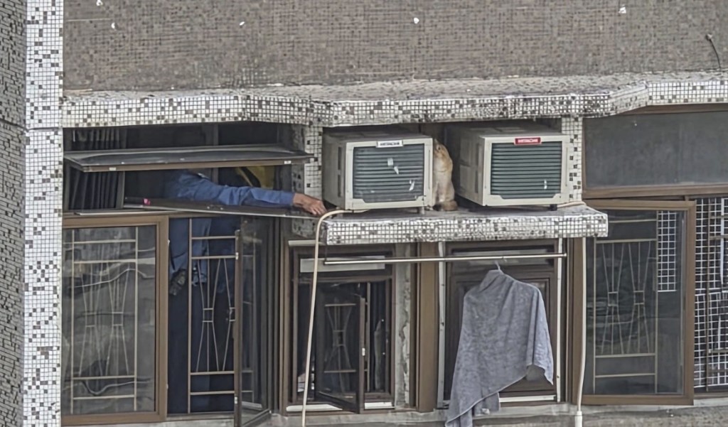 消防員從窗戶伸出救援之手。