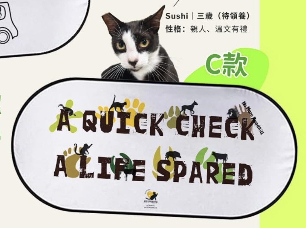 小編推介呢款。