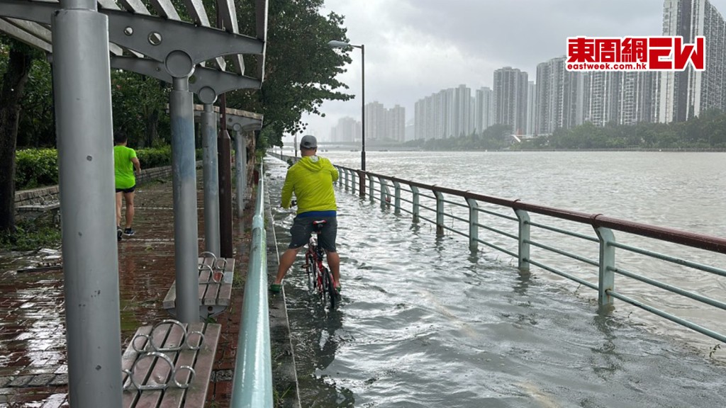 強颱蘇拉｜城門河漲潮淹百米單車徑 老翁無懼風浪河中暢泳