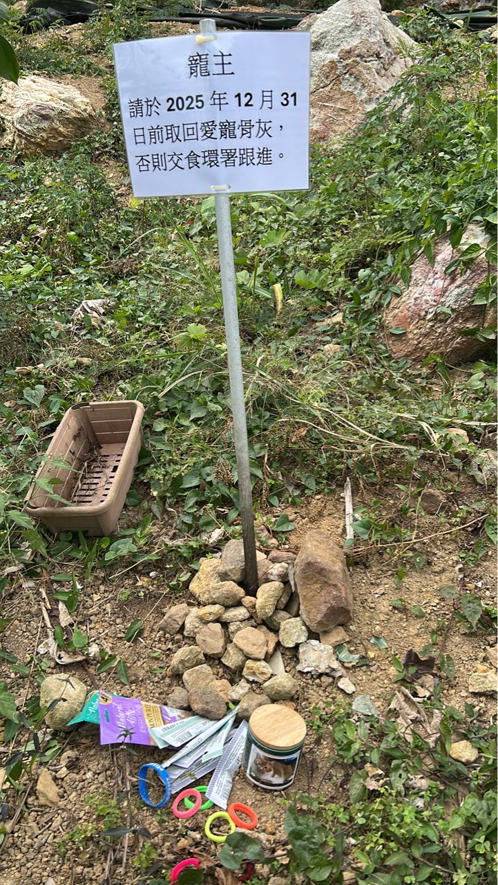 寺方出告示呼籲寵主在限期前接回，否則交由食環處理。