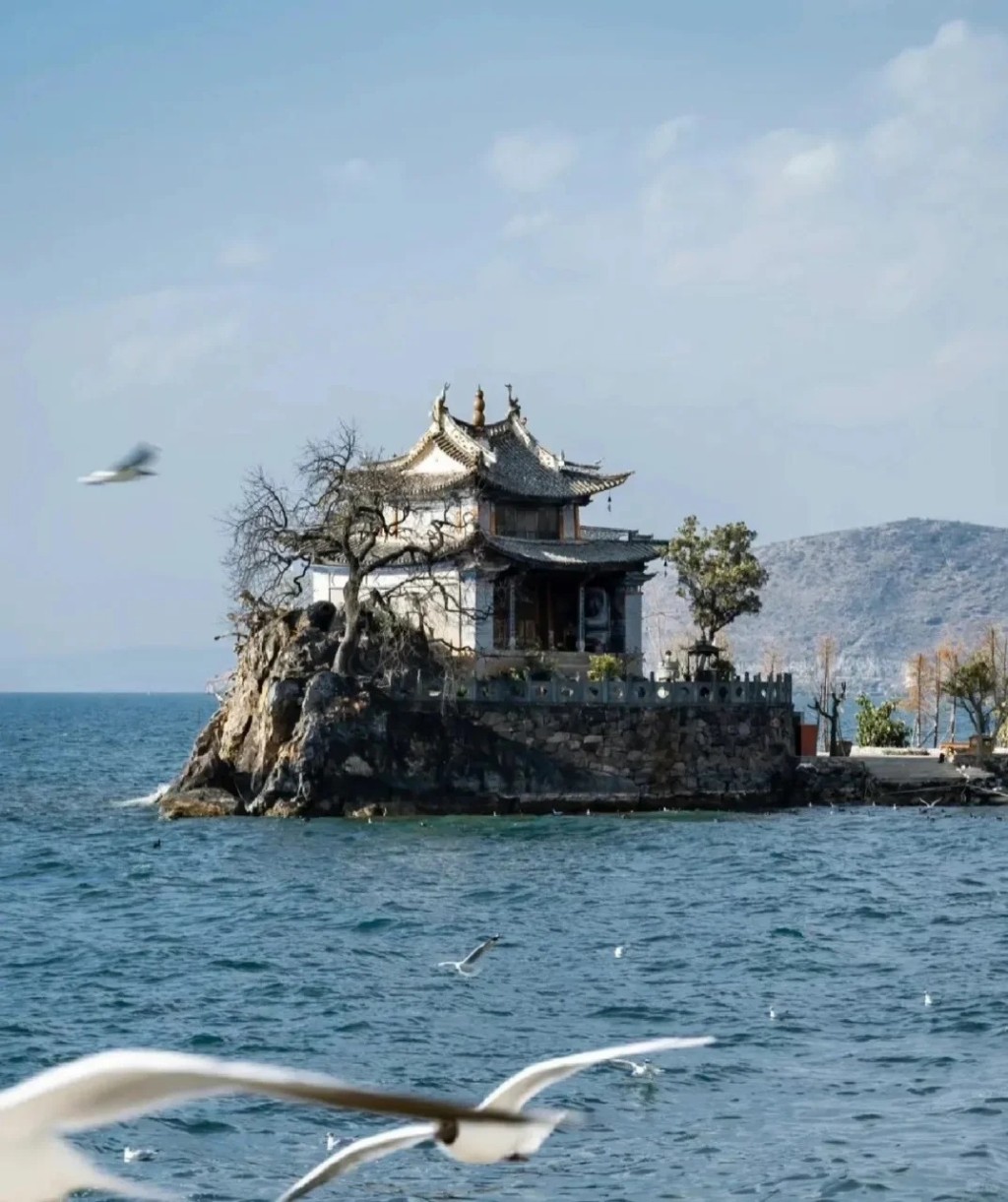  洱海東路（圖源：小紅書）