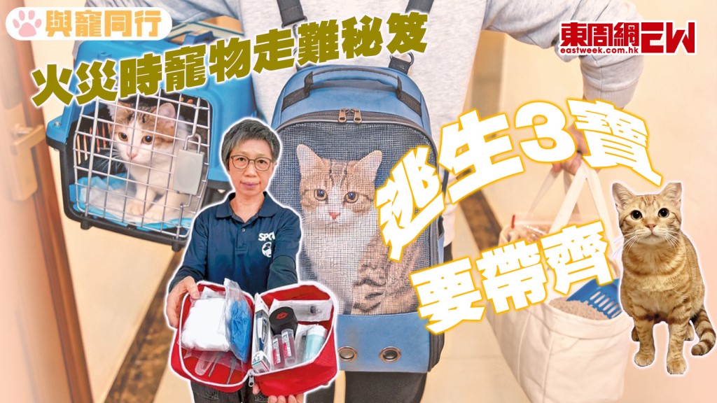 火災時寵物走難秘笈 逃生3寶要帶齊