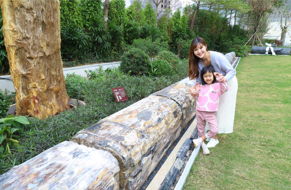 如心園木化石公園連接荃灣公園及荃灣海濱長廊，形成一個綠化帶；在繁盛的荃灣區，恍如城市綠洲，是香港獨一無二的新景點。