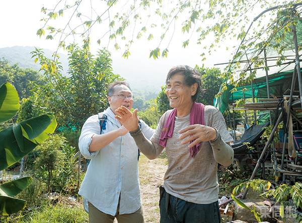 稻田旁有個實驗果園，負責種植的大叔與林筱魯老友鬼鬼。