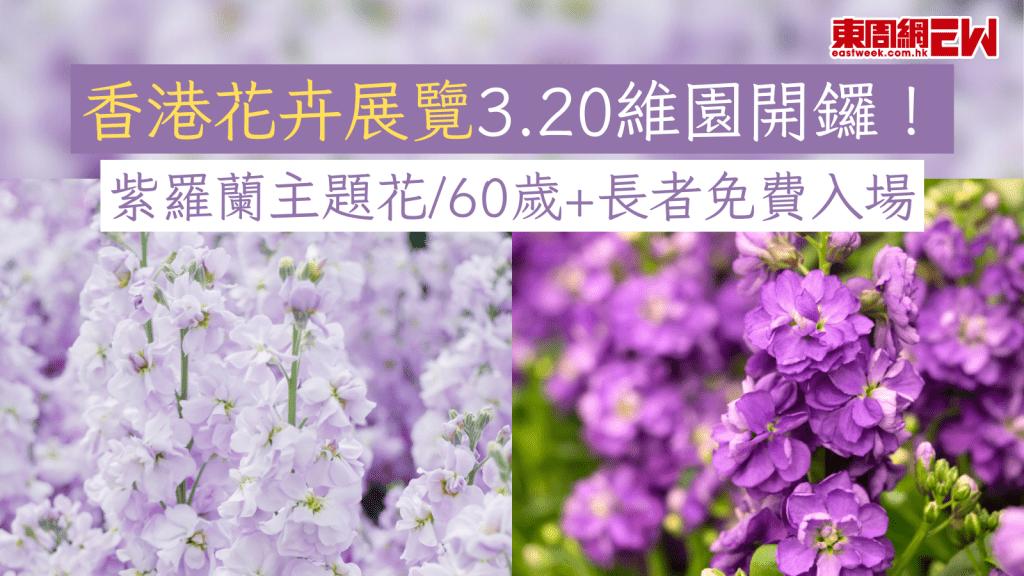 香港花卉展覽3.20維園開鑼！ 紫羅蘭主題花/60歲+長者免費入場