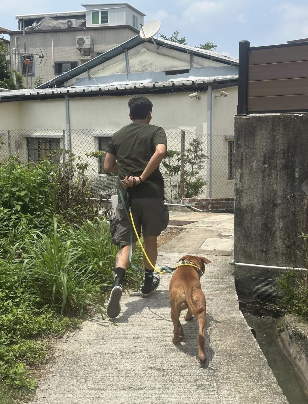 義工入狗場帶太陽仔散步，牠表現服從。