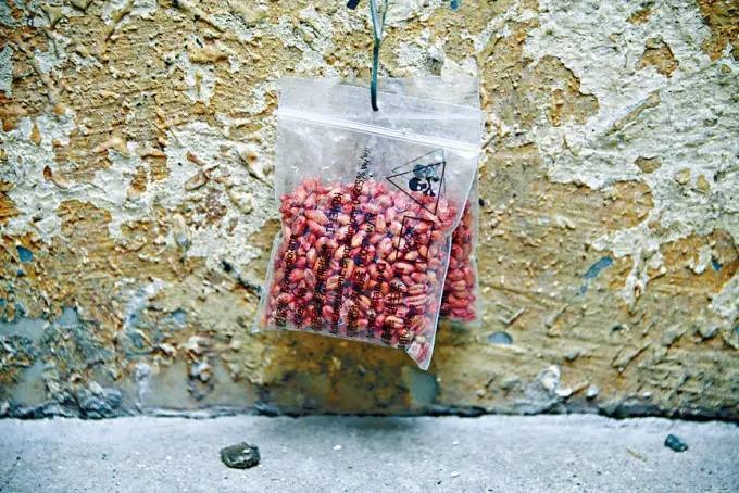 父親懷疑自服老鼠藥之餘，更將老鼠藥混入龍眼蜜餵給11歲親生女兒飲用，企圖同歸於盡