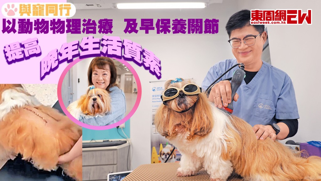 以動物物理治療 及早保養關節 提高晚年生活質素
