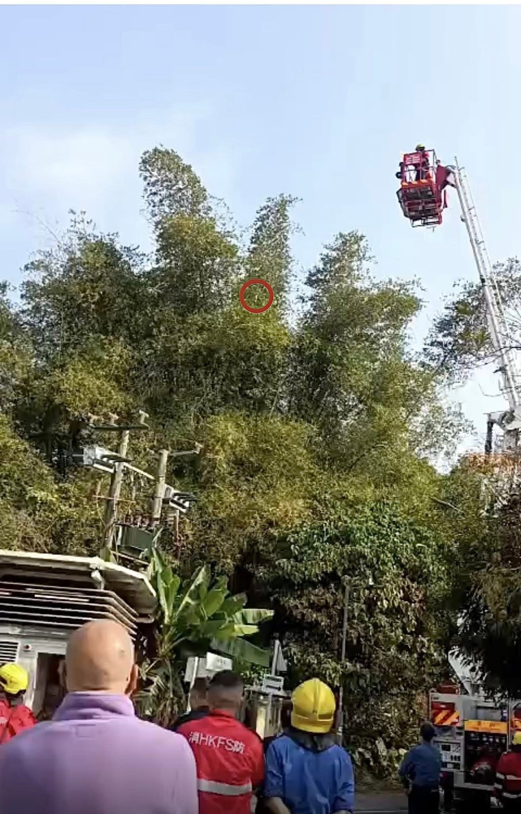 事實現場已出動消防員救援，可惜消防員無法靠近鸚鵡受困位置。