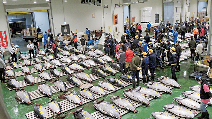 位於東京豐洲地區的豐洲市場，是日本最大的食材批發市場。