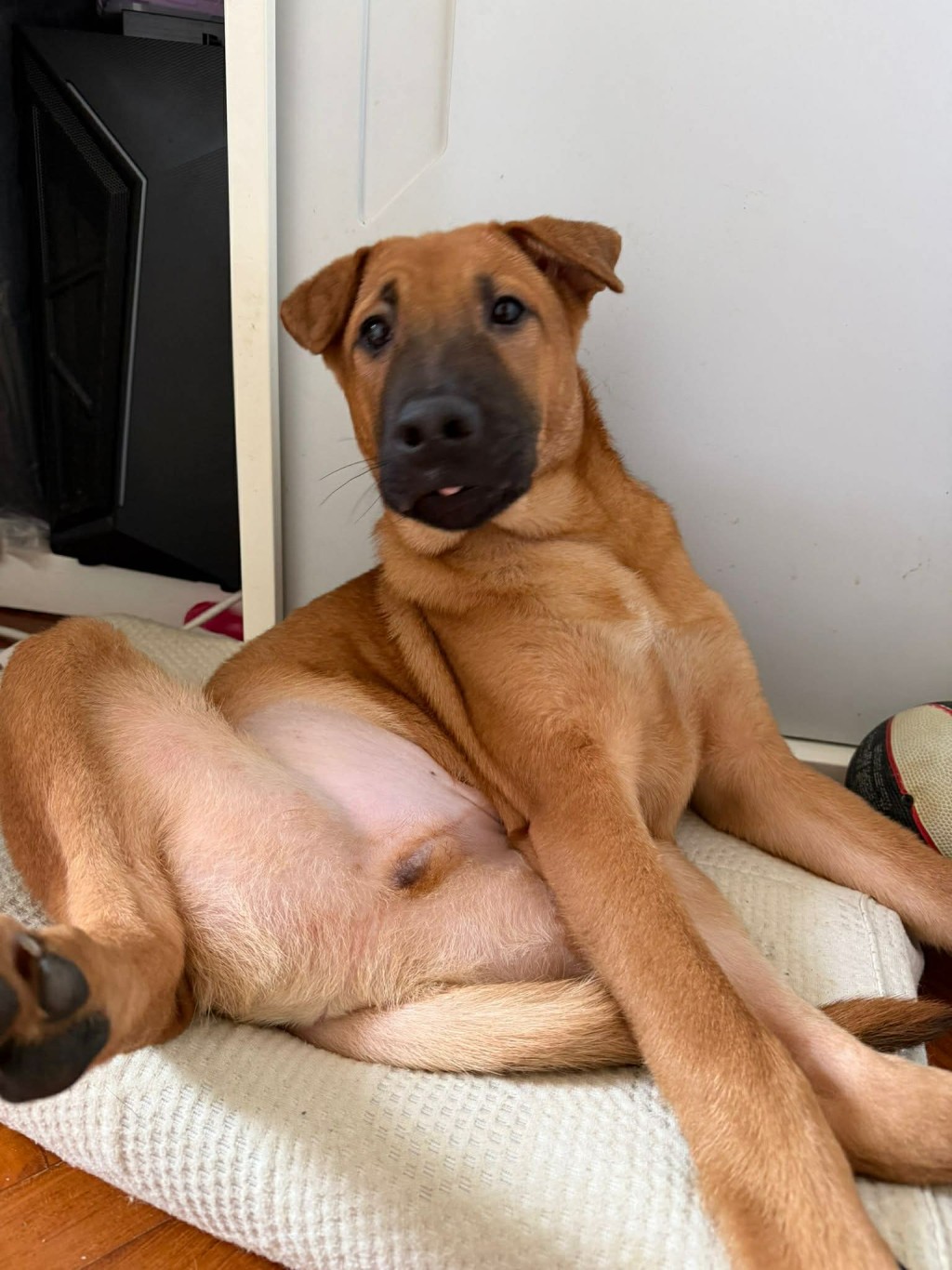 烏咀現時5個月大。