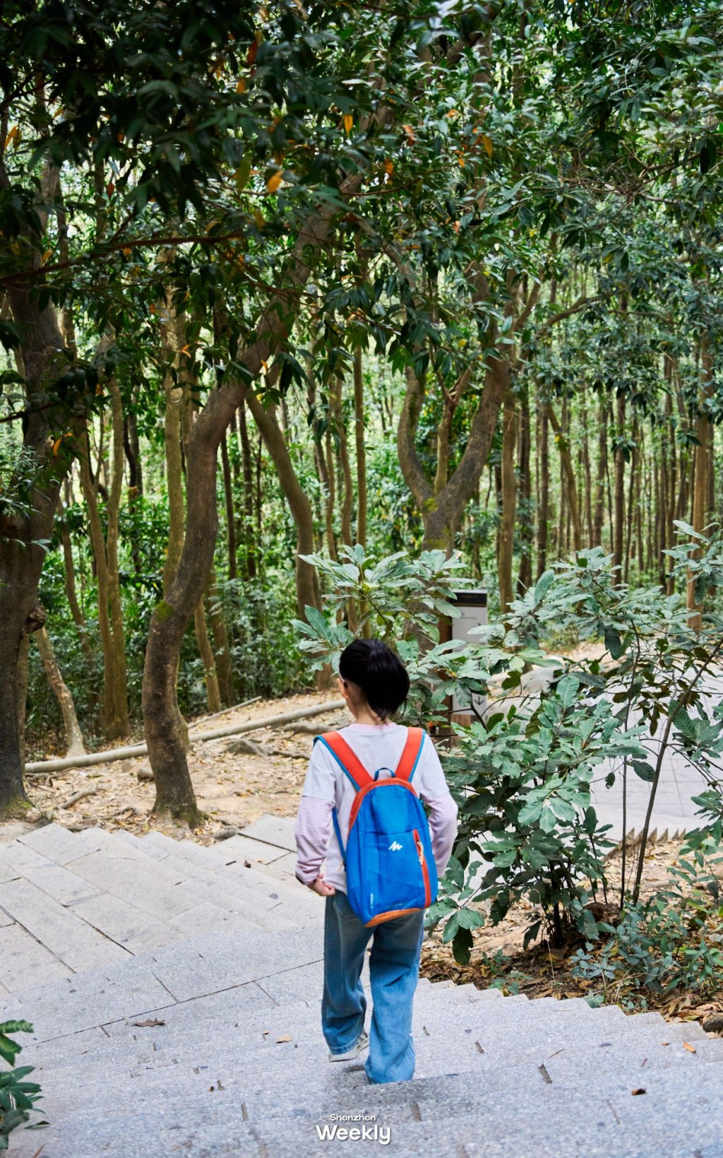 步福古道(圖源:ShenzhenWeekly) 步福古道(圖源:ShenzhenWeekly)