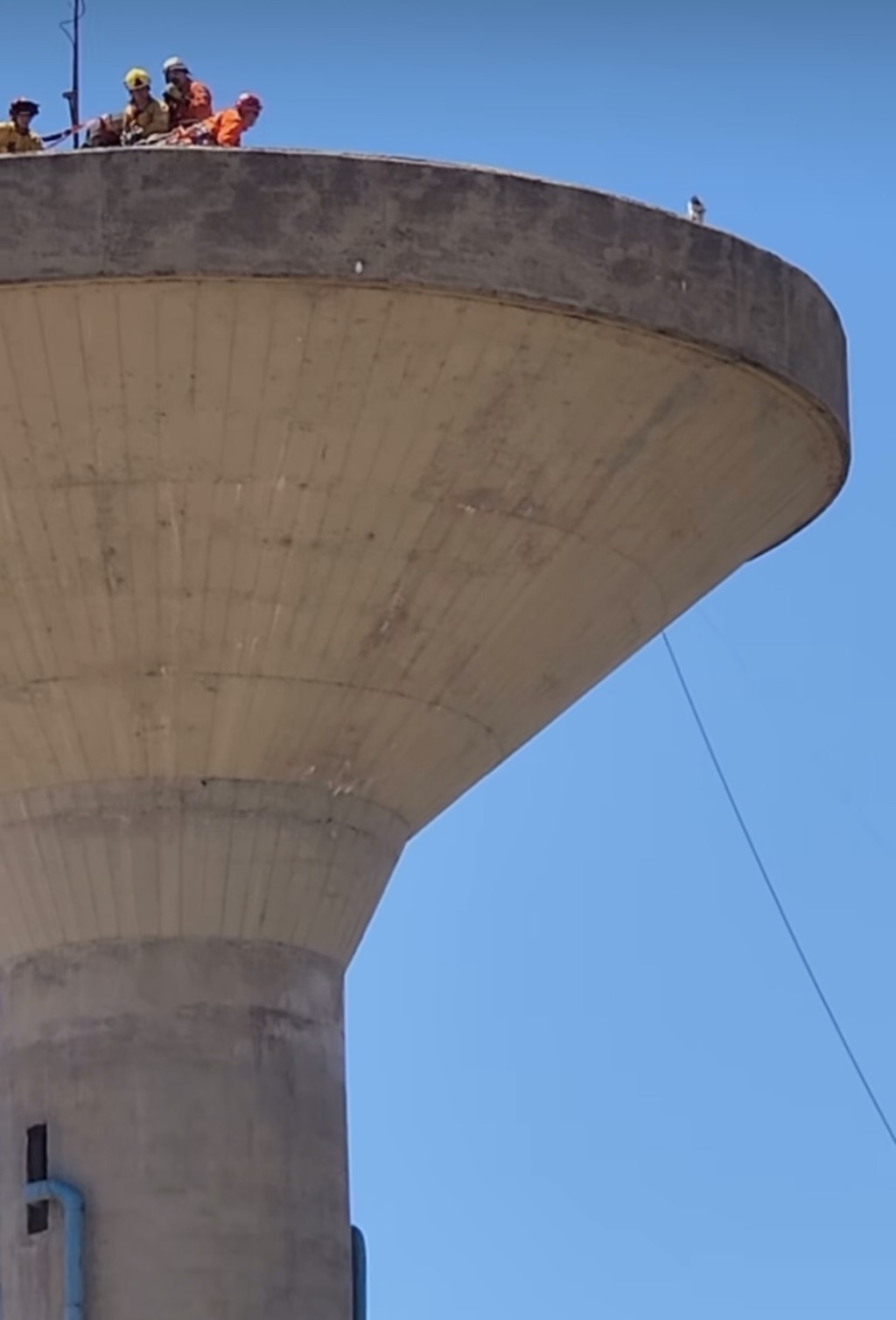 消防員嘗試摱接近在右邊的貓咪。